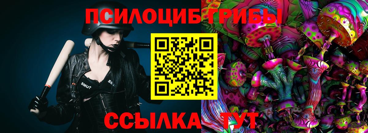 Галлюциногенные грибы MAGIC MUSHROOMS  Вход с VPN  Майский 